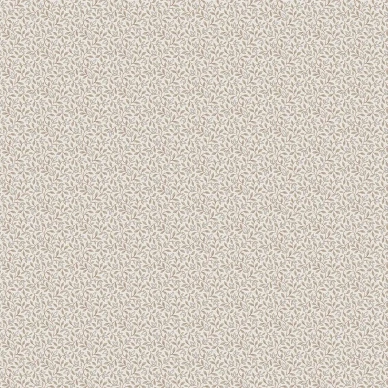 8181 Ida Closeup kuva