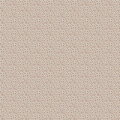 8182 Ida Closeup kuva