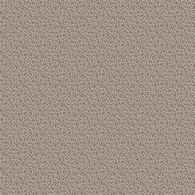 8183 Ida Closeup kuva