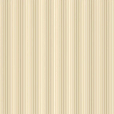 8177 Sam Closeup kuva