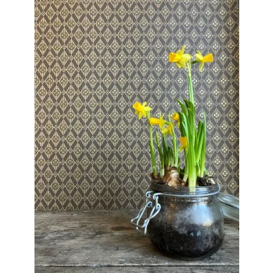 Romb 358 82 brown2 kuva