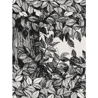 9818W Hassel Closeup kuva