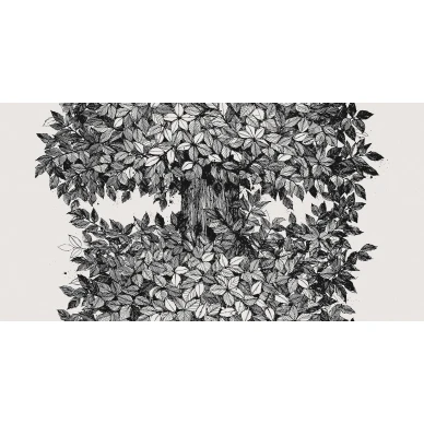 9818W Hassel PatternImage kuva