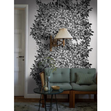 9818W Hassel Roomshot 1 kuva