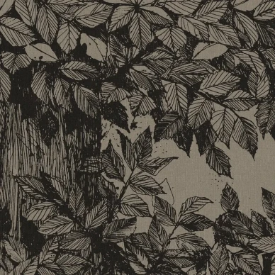 9819W Hassel Closeup1 kuva