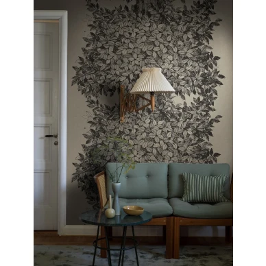 9819W Hassel Roomshot 1 kuva