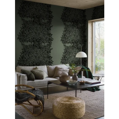 9820W Hassel Roomshot 9 kuva