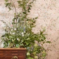 DDIW217276 3 SAW0191 01 SANDERSON Bambi WALLPAPER 8c0a