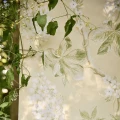 Chestnut Tree Lemon Lettuce 2