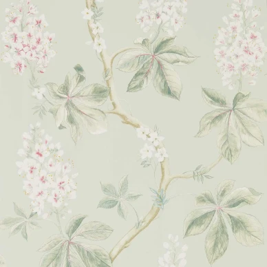 Chestnut Tree Seaspray Peony kuva