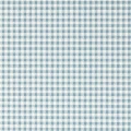Gingham Picnic Blue