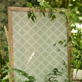 Rye Shed Green 1