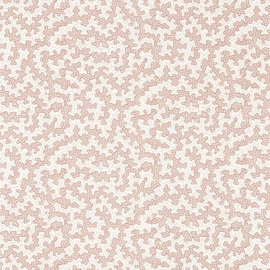 DABW217240 c15f kuva