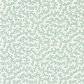 DABW217241 af62