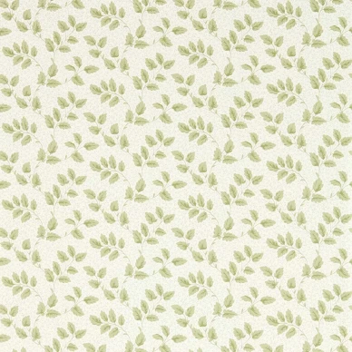 Tomato Leaf Leaf Green kuva