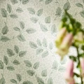 Tomato Leaf Willow 1