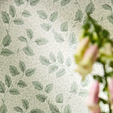 Tomato Leaf Willow 1 kuva