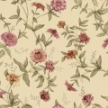 9154 Zinnia Closeup