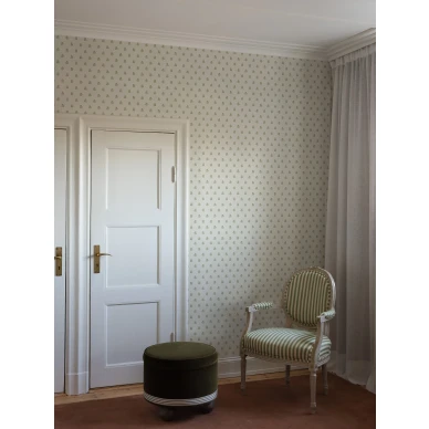 8729_Desiree_Roomshot_2_web kuva