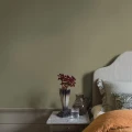 4349 DeepOlive Roomshot 2
