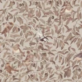 R19261_product