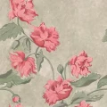 9937W_Papaver_Closeup