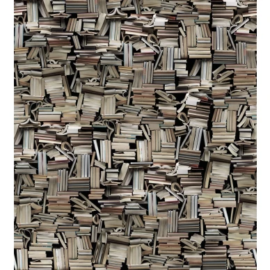 9533W LightBooks PatternImage kuva