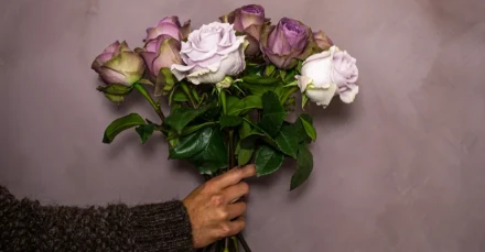 Kalkkimaali seinalle Kalklitir Vivienne