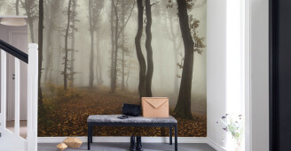 Kuvatapetti eteiseen Timberland Rebel Walls