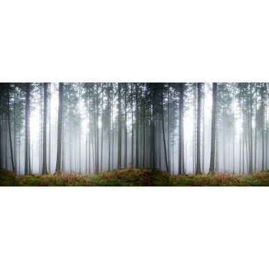 Forest Glade vihrea metsaaiheinen valokuvatapetti Rebel Wallsilta koko kuvio R15201 kuva