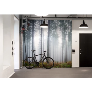 Forest Glade vihrea metsamaisema valokuvatapetti Rebel Wallsilta R15201 kuva