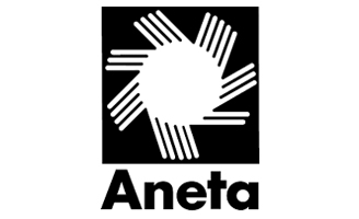 aneta