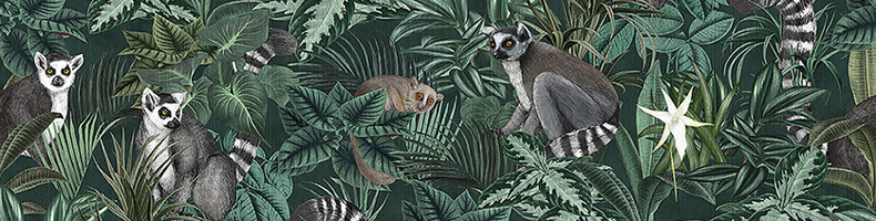 Wild Animals Wild Animals